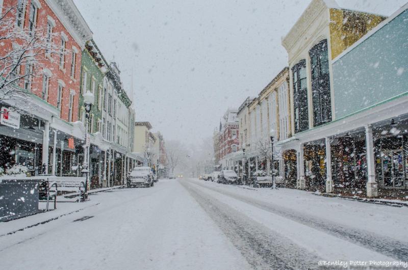 Bentley Potter - sample photograph - Uptown Kingston